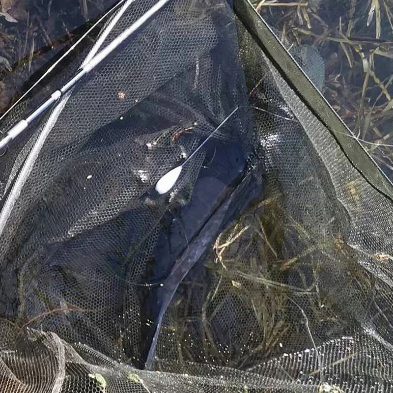 Korda Interceptor Surface Floats